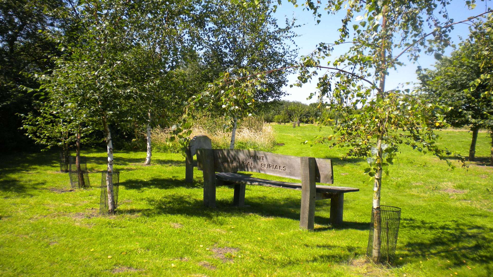 Green grassland natural burial site with trees