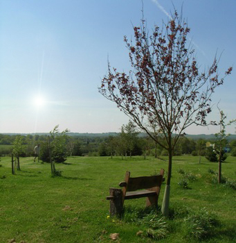 Wooden bench in a field overlooking the countryside